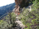 photo thumbnail #5