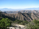 photo thumbnail #7