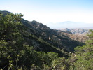 photo thumbnail #8