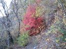 photo thumbnail #11
