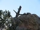 photo thumbnail #12