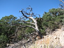 photo thumbnail #13
