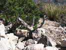 photo thumbnail #14