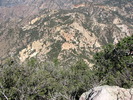 photo thumbnail #15