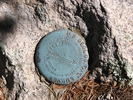 Featured Detail Photo