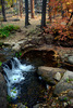 photo thumbnail #9
