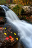 photo thumbnail #10