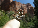 photo thumbnail #4