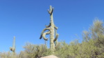 photo thumbnail #5