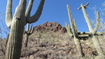 photo thumbnail #11