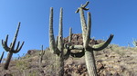 photo thumbnail #12