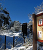 photo thumbnail #5