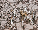 photo thumbnail #2