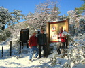 photo thumbnail #9