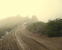photo thumbnail #11