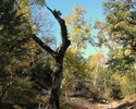 photo thumbnail #13