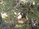 photo thumbnail #5