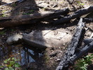 Featured Full Photo