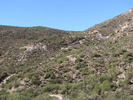 photo thumbnail #8