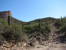 photo thumbnail #10