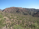 photo thumbnail #14
