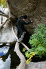 photo thumbnail #3
