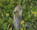 photo thumbnail #9