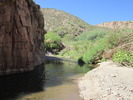 photo thumbnail #7