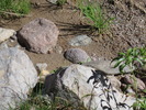 photo thumbnail #13