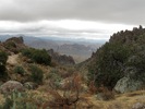 photo thumbnail #11