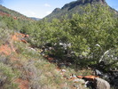 photo thumbnail #3