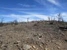 photo thumbnail #6