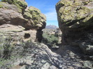 photo thumbnail #10