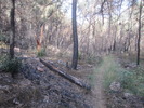 photo thumbnail #10