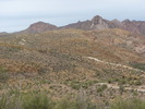 photo thumbnail #14