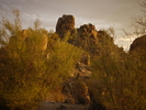 photo thumbnail #1