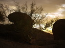photo thumbnail #4