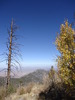 photo thumbnail #3