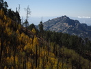 photo thumbnail #5