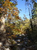 photo thumbnail #12