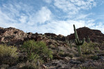 photo thumbnail #2