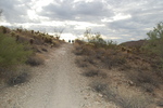 photo thumbnail #6