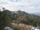 photo thumbnail #4