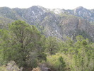 photo thumbnail #7