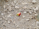 photo thumbnail #5