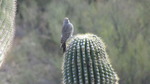photo thumbnail #10