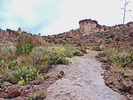 photo thumbnail #8