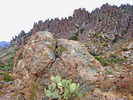 photo thumbnail #10
