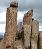 photo thumbnail #14