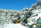 photo thumbnail #11